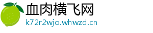 血肉横飞网